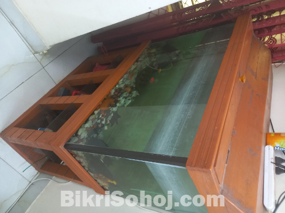 এ্যাকুরিয়াম
